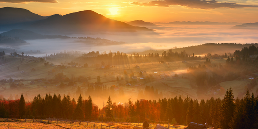 Noticing the sunrise